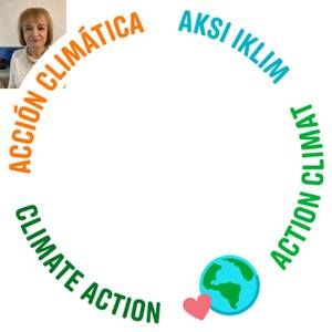 Meet your Posher, Carol